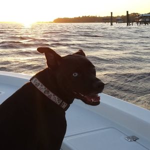 Meet your Posher, Terri